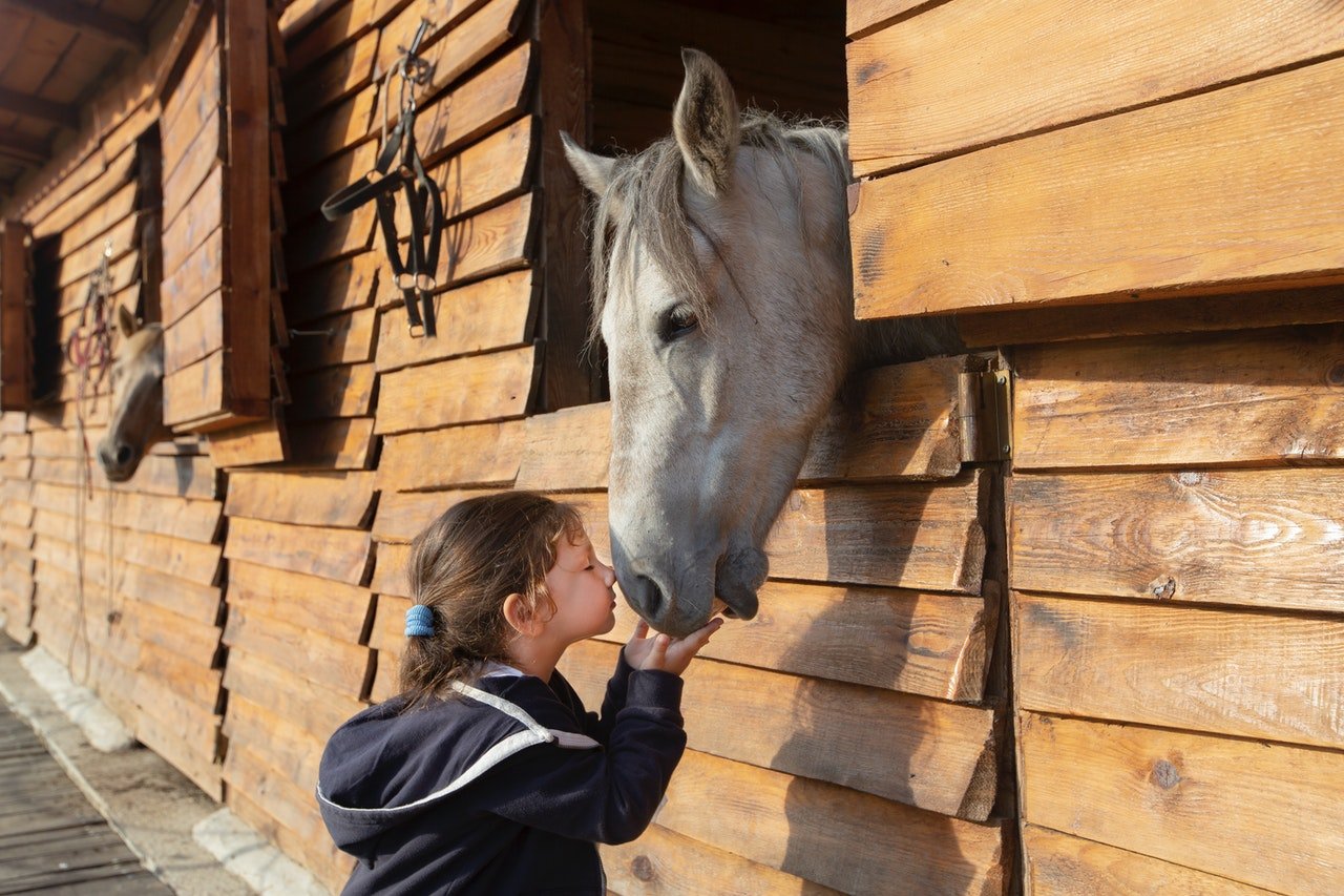 Koń i dziecko w stajni.